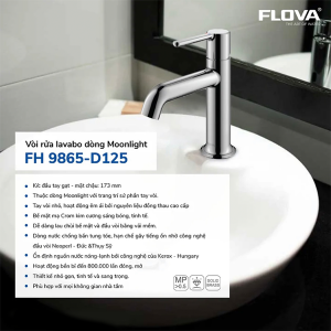 voi-chau-lavabo-flova-fh-9865-d125