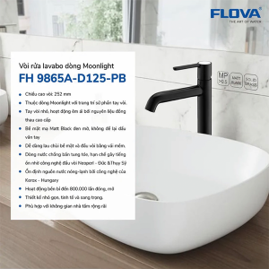 voi-chau-lavabo-flova-fh-9865a-d125-pb