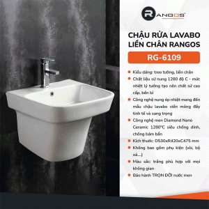 chau-rua-mat-lavabo-lien-chan-rangos-rg-6109